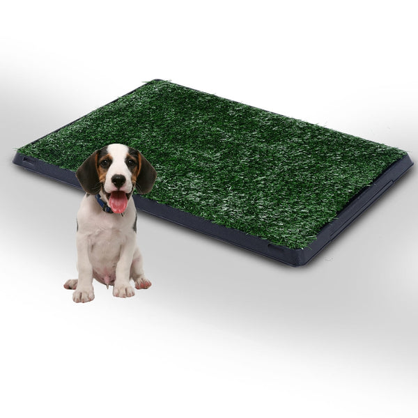 Pawhut Indoor Pet Toilet Training Mat